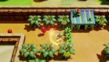 The Legend of Zelda: Link's Awakening (Switch) (2)