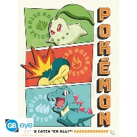 pokemon-portfolio-9-posters-starters-21x297 (1) (1)