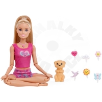 Barbie Meditační panenka JJN55 Barbie Meditační panenka JJN55