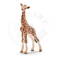 Schleich Zvířátko - mládě žirafy