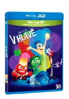 V hlavě 2BD (3D+2D)