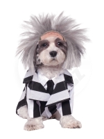 Kostým na pejska Beetlejuice